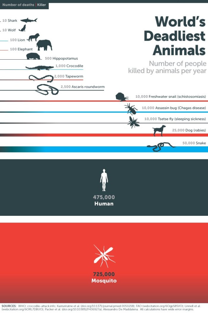 Deadliest Animal