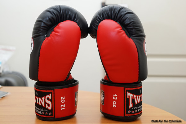 Twins Boxing Gloves