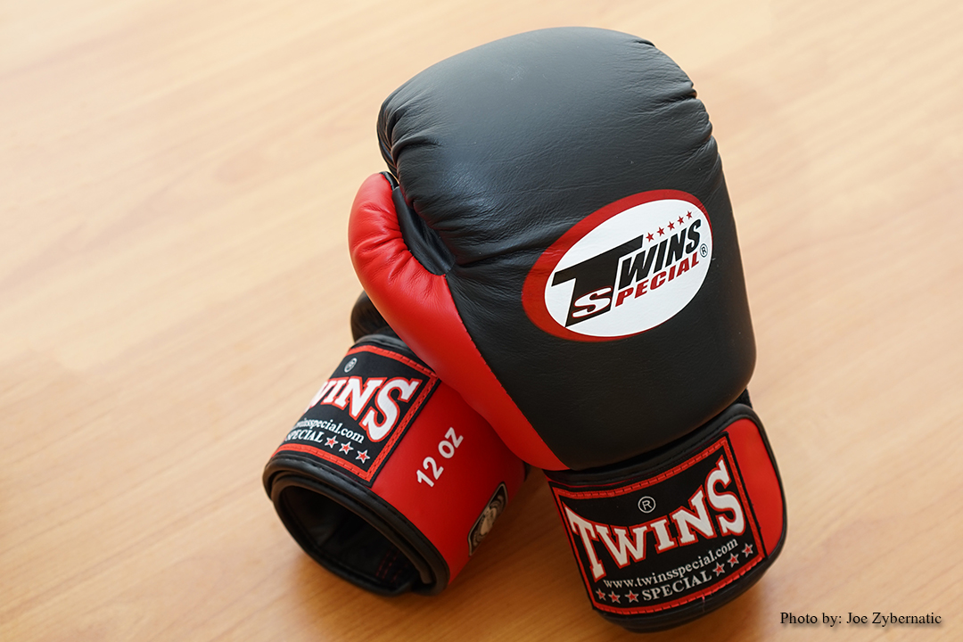Twins Boxing Gloves